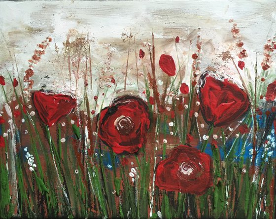 Poppy Field