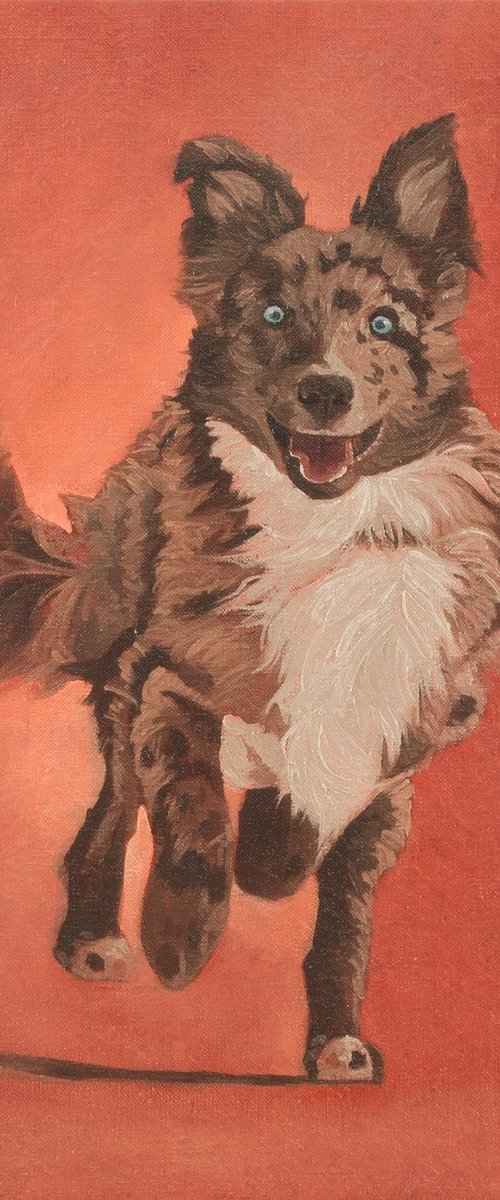 Dog portrait by Yue Zeng