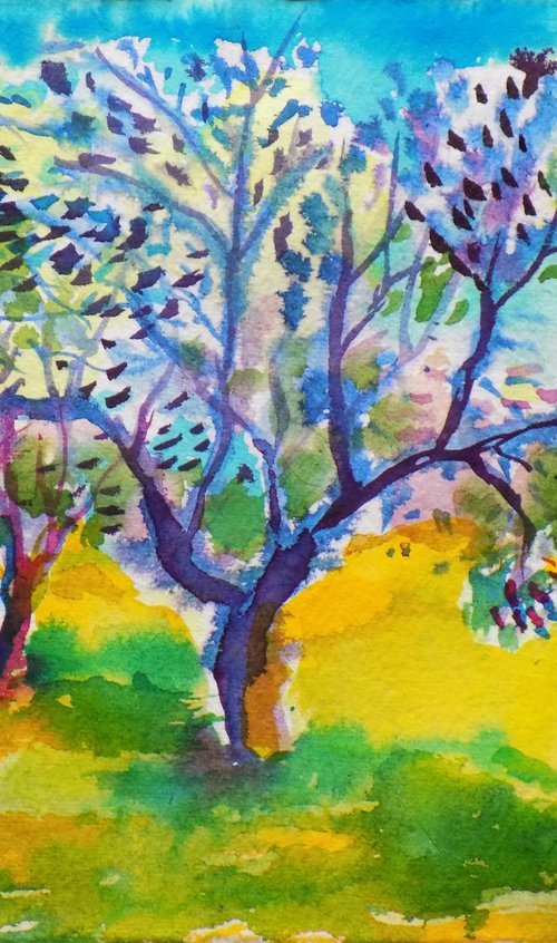 Olive tree of life by Maja Grecic