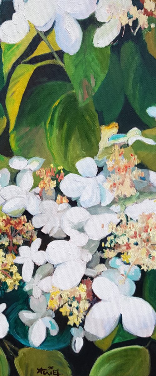 Petal clouds on the path by Valérie Auriel