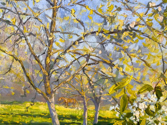 Bouquet of Bird Cherry