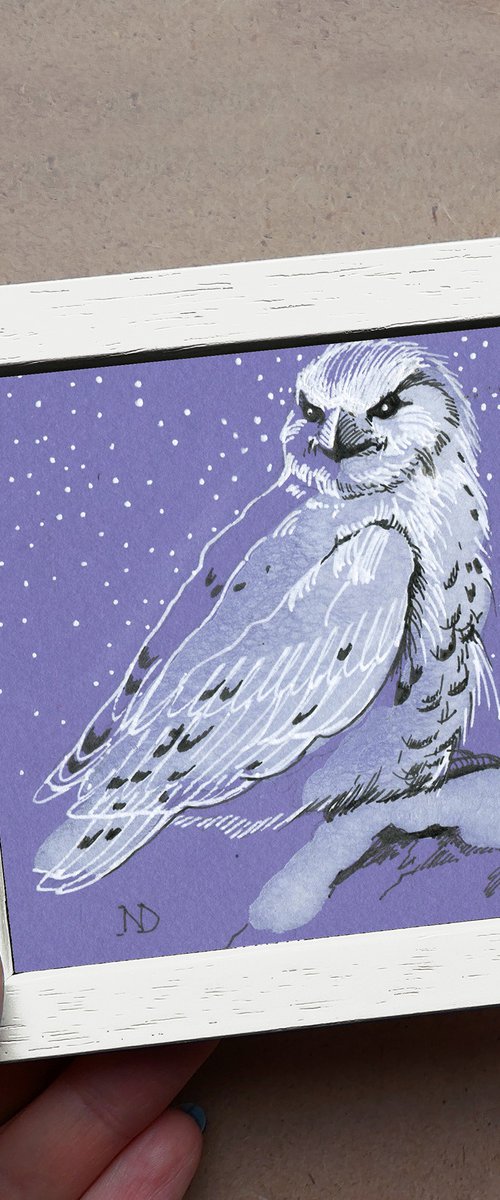White owl bird by Nataly Derevyanko