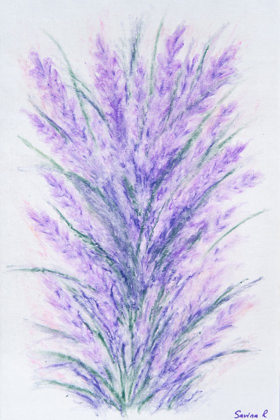 Lavender bush