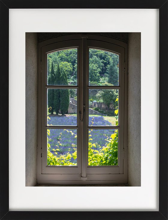 A WINDOW OF NATURE