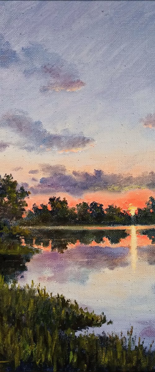 Summer evening by Oleh Rak