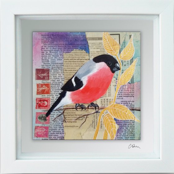 Bullfinch - Ornithology#1 - Framed ready to hang original painting