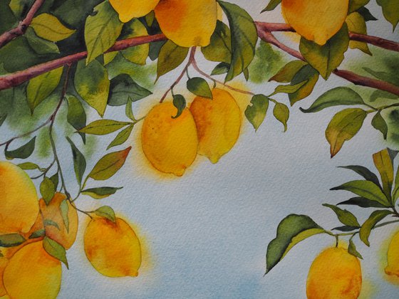 Mediterranean landscape