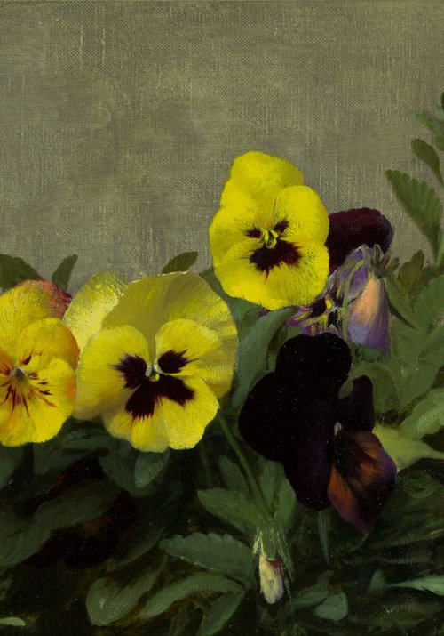 Pansies, 30x50cm, oil on canvas, 2018, classical still life by Davit Davtyan