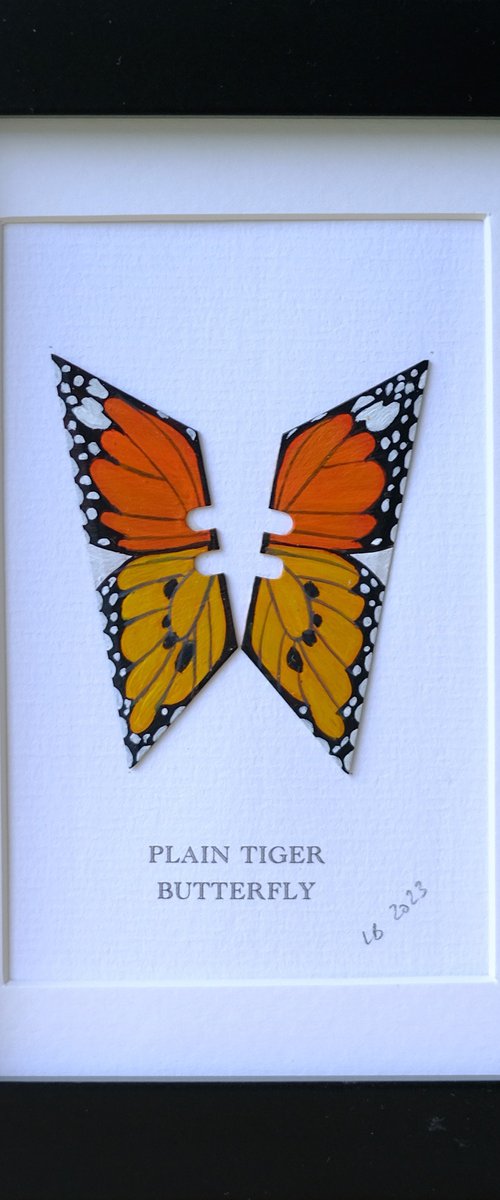 Plain Tiger butterfly by Lene Bladbjerg