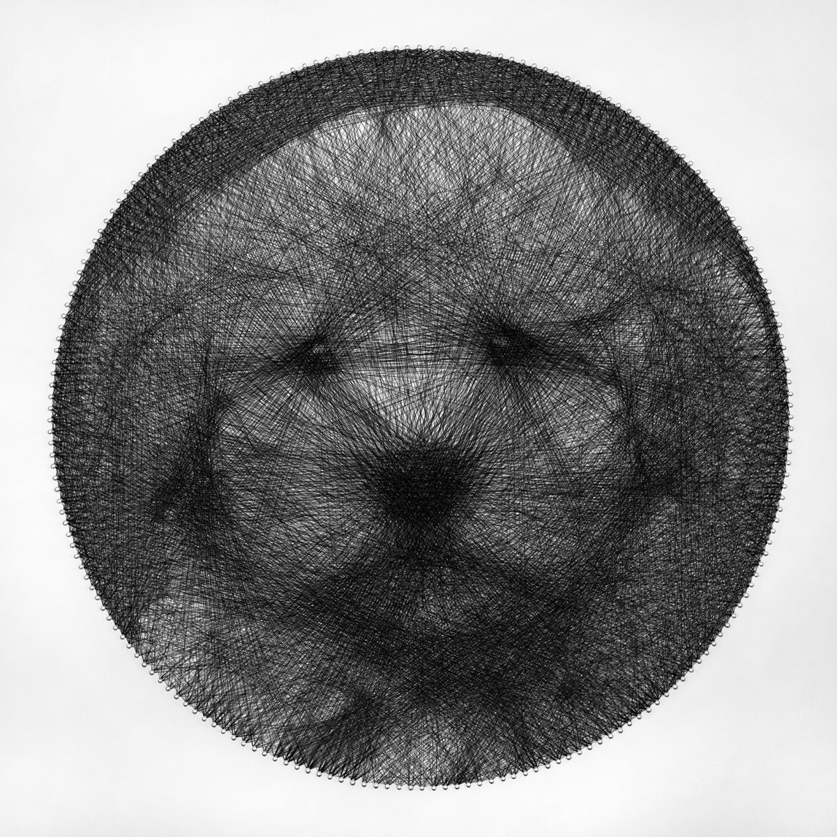 Photorealistic Animal Sculpture By Andrey Saharov, 22 X 22, Cockapoo Puppy String Art, Original Artwork