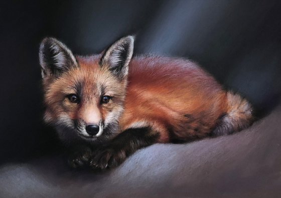 Red Fox