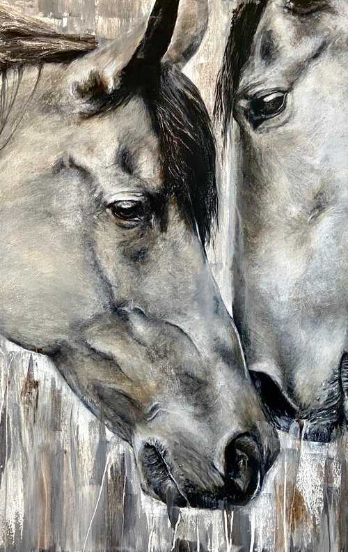 Eye to eye, brown horses by Paul Hardern