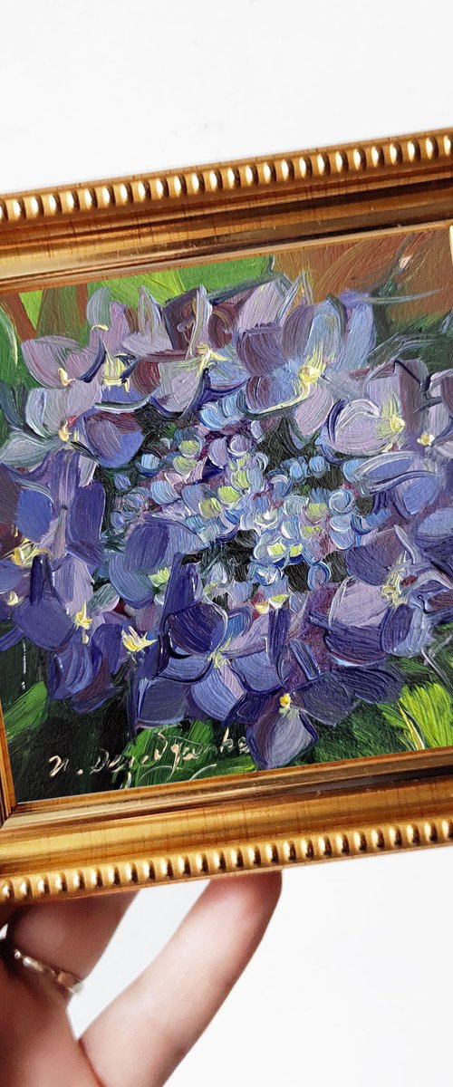Hydrangea flowers by Nataly Derevyanko