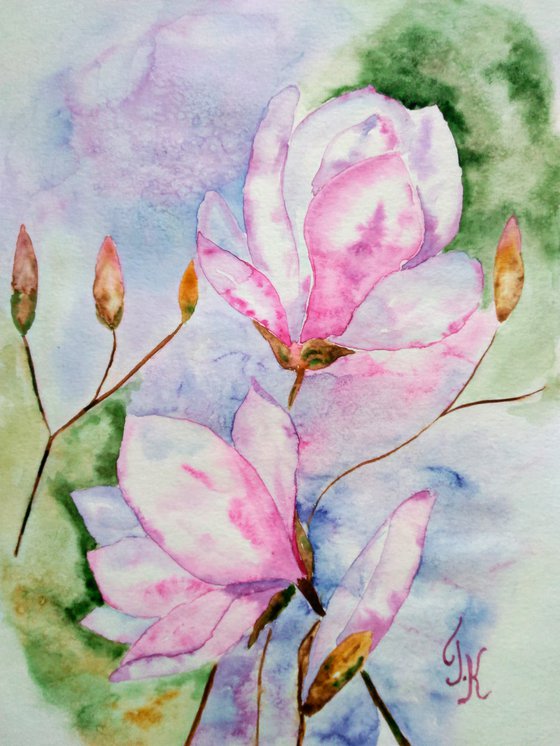 Magnolia blossoming pink magnolis flowers original watercolor painting magnolia branch" Spring beauty"