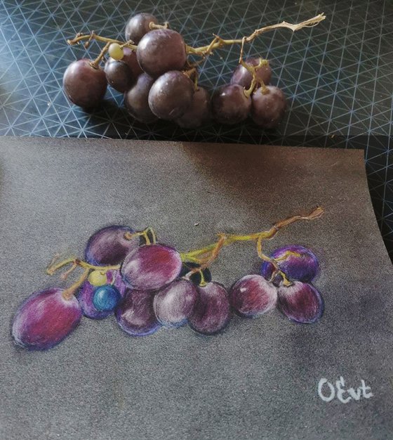 Sicilian black grapes.  24x18 cm. From life. Uve nere siciliane.