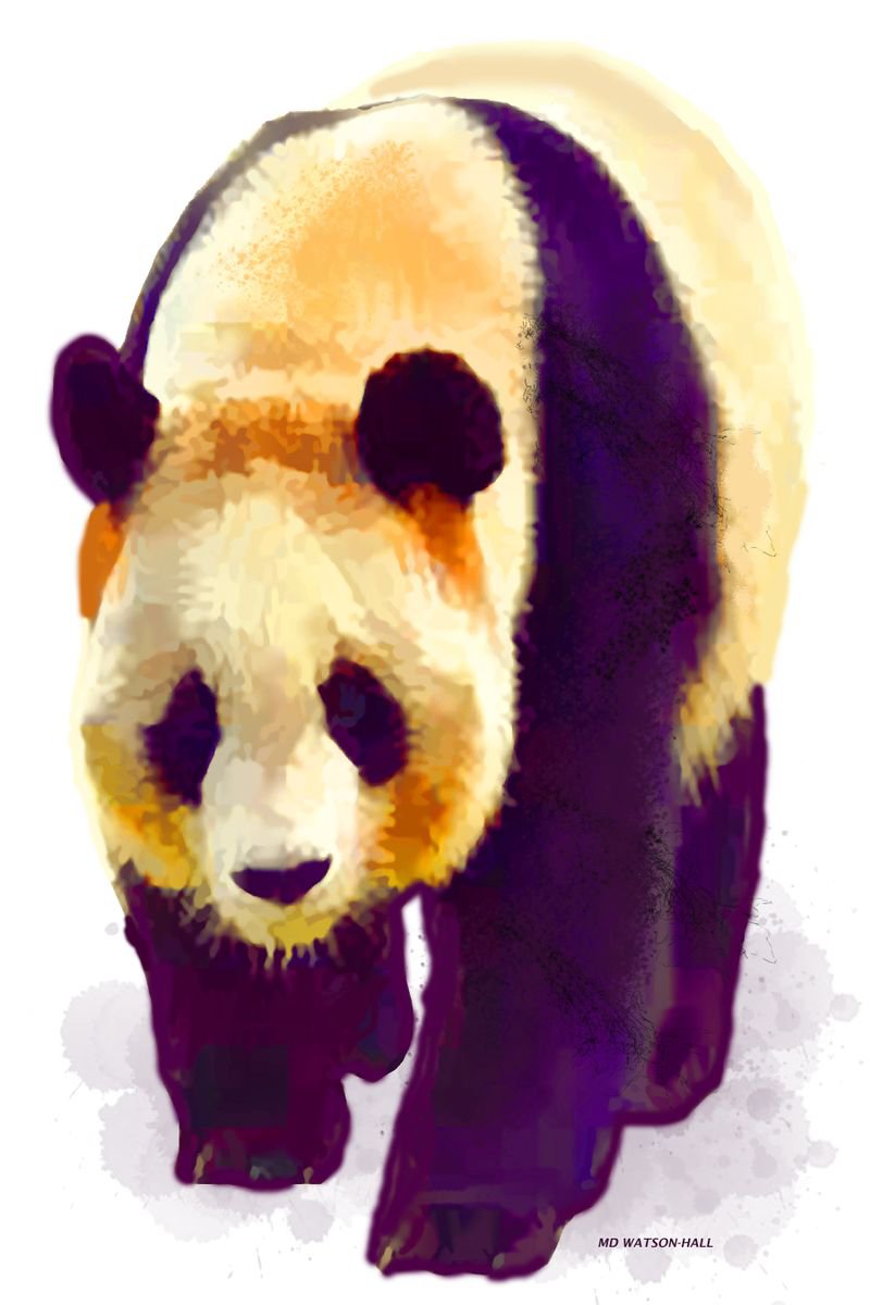 Giant Panda by Marlene Watson