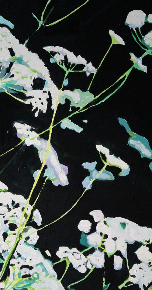 Umbellifers by Emma Cownie