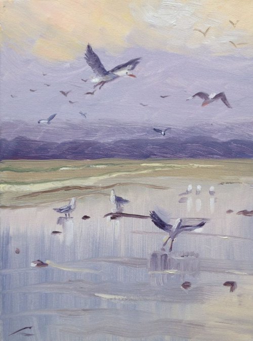 Sea gulls by Elena Sokolova
