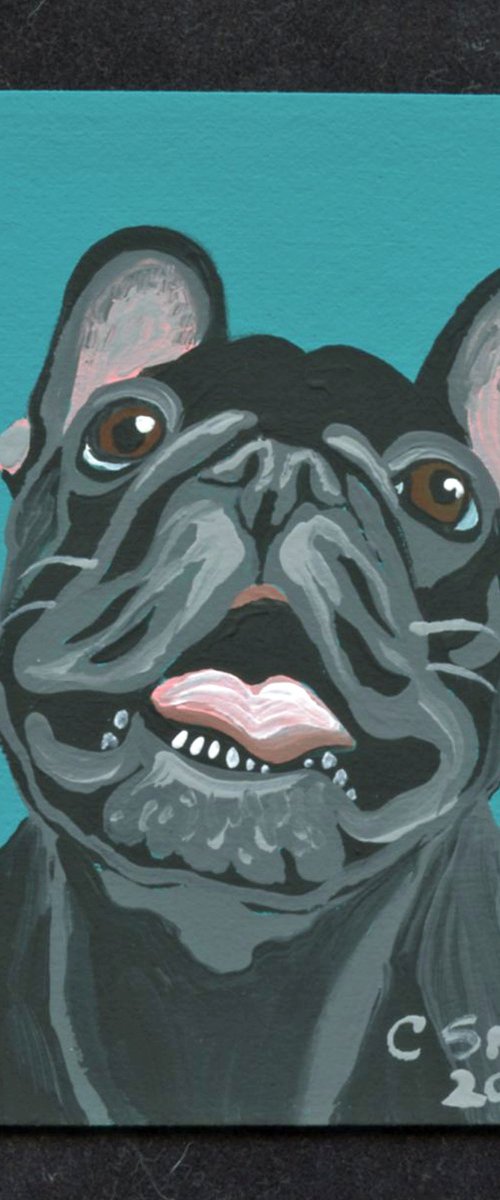 Black French Bulldog by Carla Smale