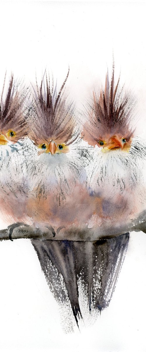 Trio of crested birds by Olga Tchefranov (Shefranov)