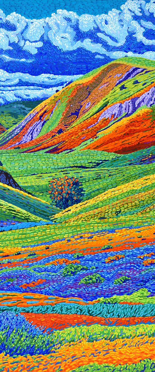 Californian Hills by Alex Nizovsky