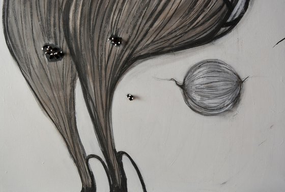 Physalis