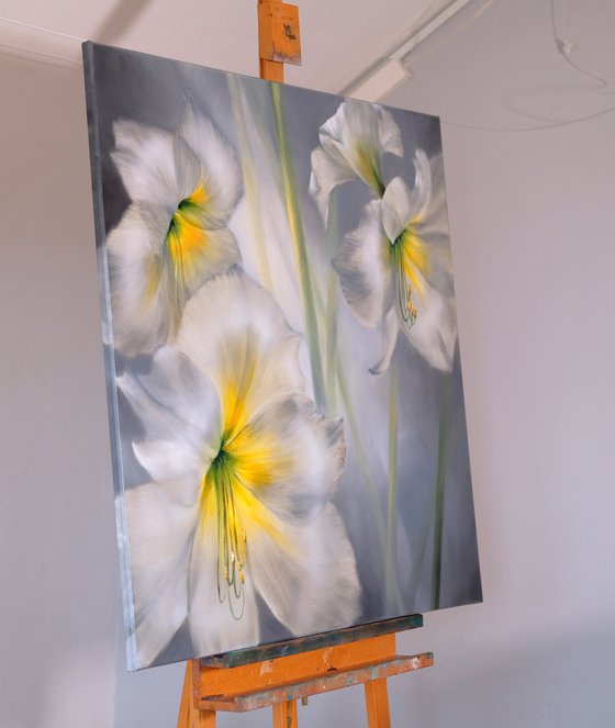 White Amaryllis