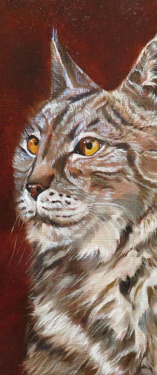 Lynx Portrait by Anne Zamo