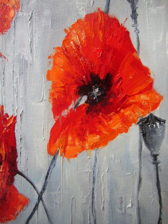 Poppies