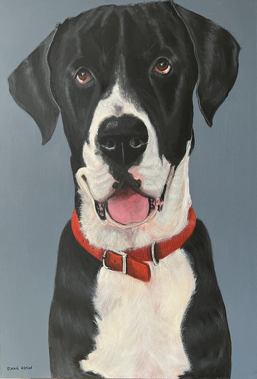 LEON - THE GREAT DANE by ELAINE ASKEW