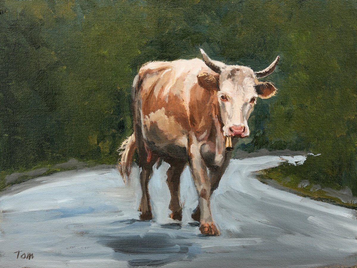 Animal Oil Painting By Tom Clay, 9 X 7", Simmental Cow On Road, Original Artwork