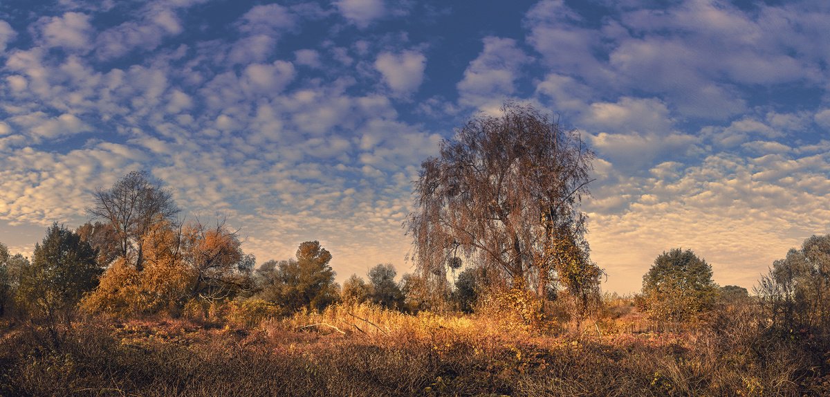 Photorealistic Landscape Photograph By Valerix, 45 X 22", Fall Classic., Original Artwork