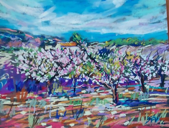 Country house amongst almond blossom