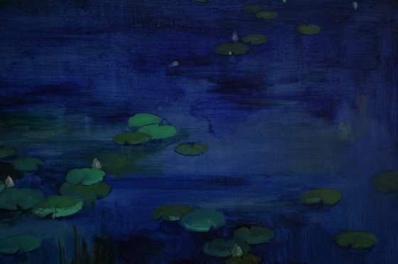 Lily pond. Lullaby