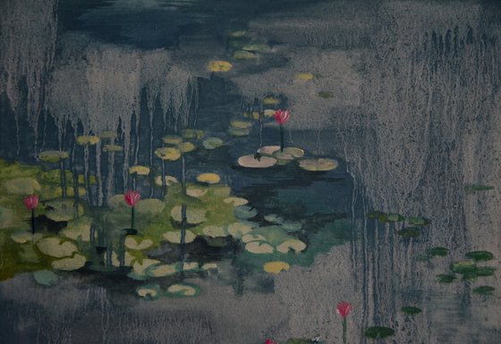 Lily pond. Petrichor