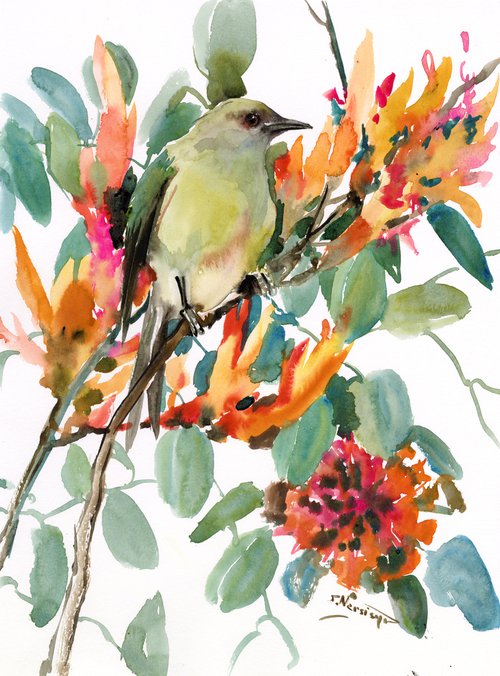 New Zeland Bellbird by Suren Nersisyan