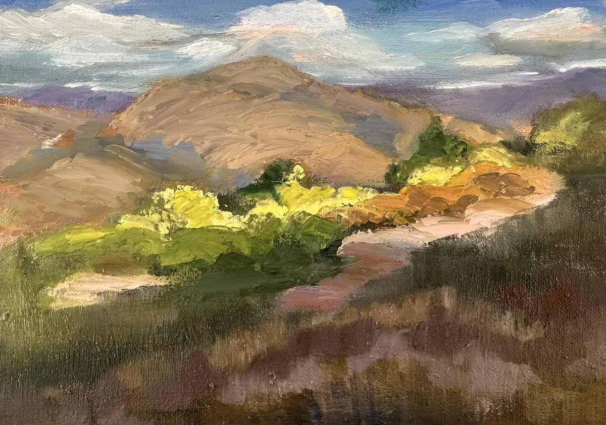 Impressionistic Landscape Oil Painting By Grace Diehl, 8 X 6, Cloud Shadows, Original Artwork
