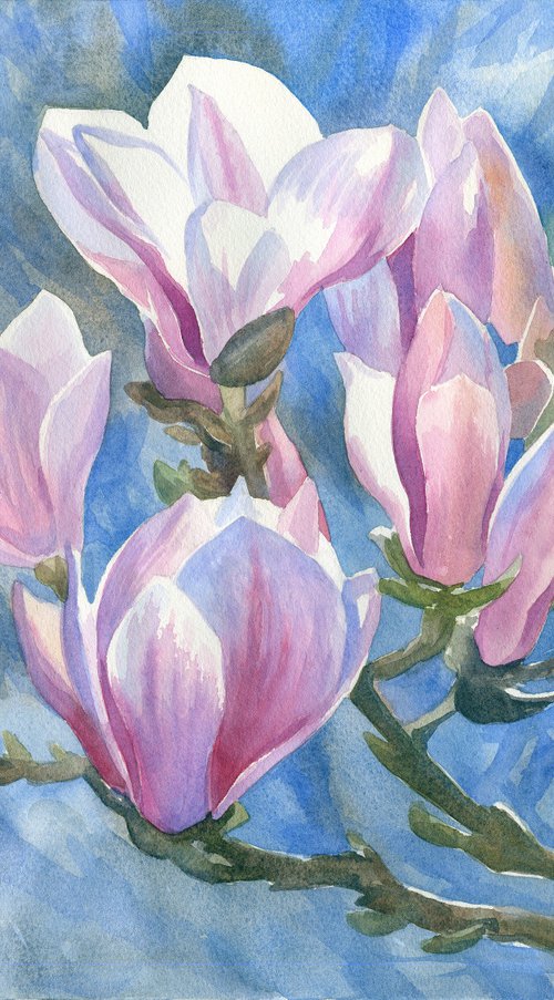 Magnolias Original Watercolor Flower art Floral blue pink sunlight gift for her by Julia Logunova