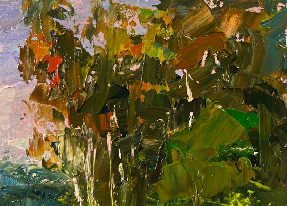 Birch Grove in the Light of the Morning Sun