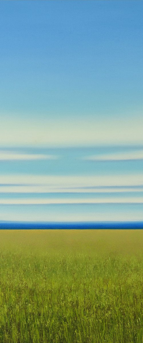 Verdant Field - Green Field Blue Sky Landscape by Suzanne Vaughan