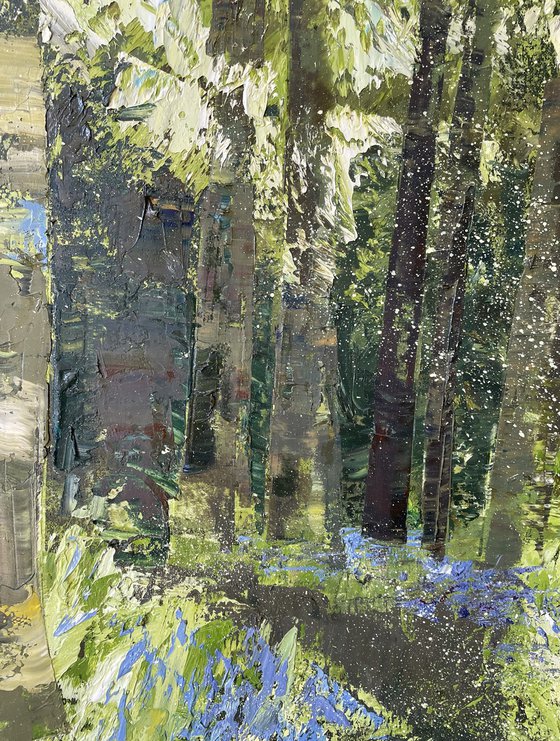 Wild Bluebell Trail