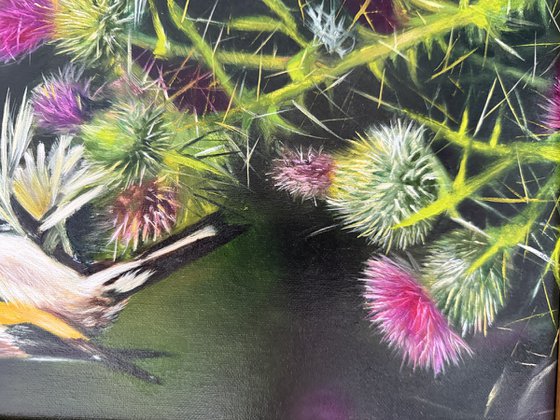 Birds and Thistle