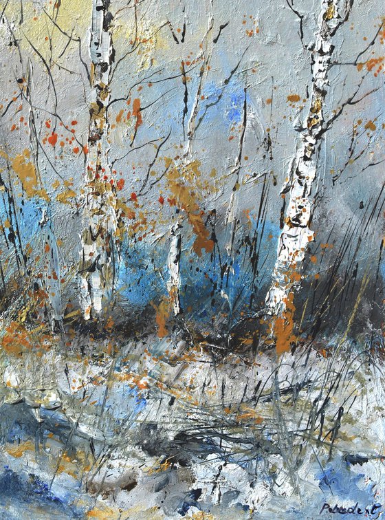 Aspen trees in winter