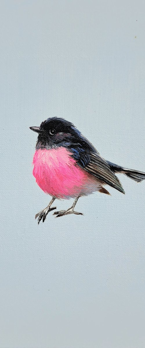 Pink Robin by Nataly Derevyanko