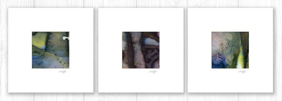 Nature's Rhythm Collection 2
