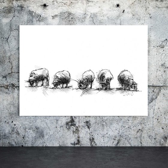 Sheep feeding