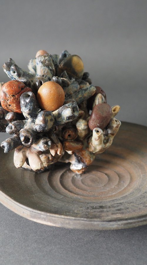 Burning Bush by Linda Cares