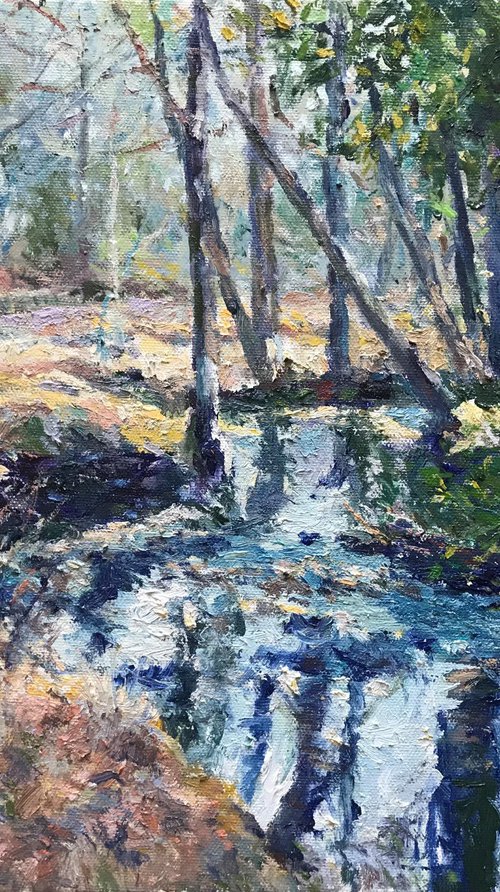 "Lower MagruderTrail Spring" by Steven Hagy