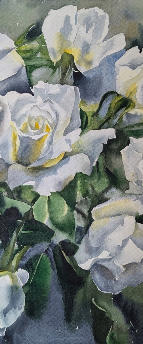 White Roses#4 by Yurii Pashkov