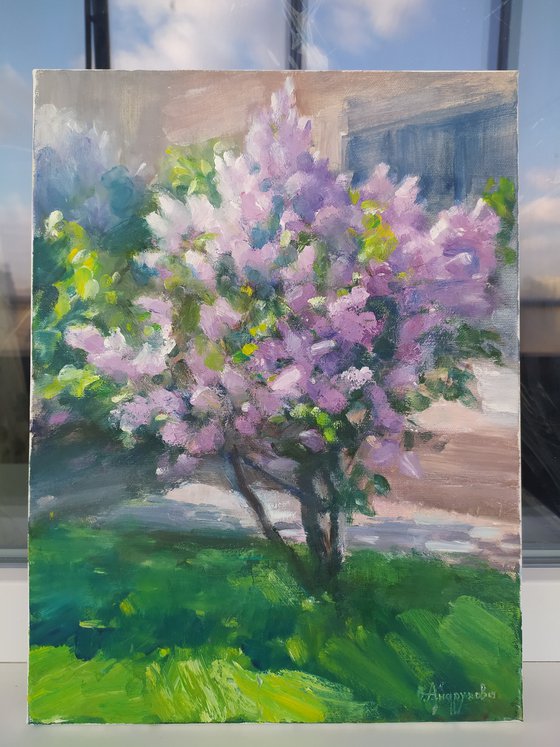 Kharkiv lilac